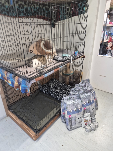 Lázeňské kočky z.s.